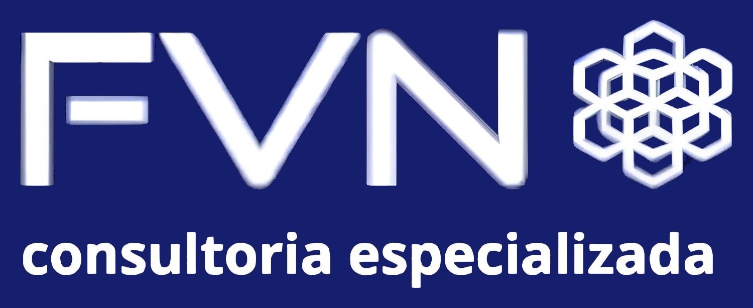FVN Consultoria Especializada